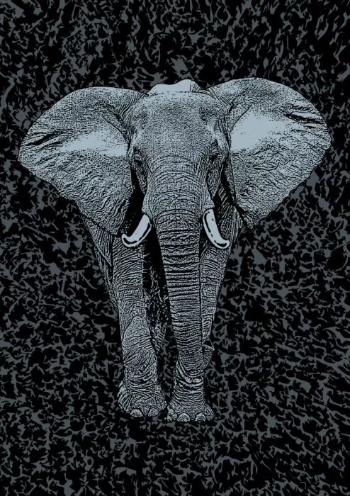 Kaminski, Carlo: Majestic Elephant
