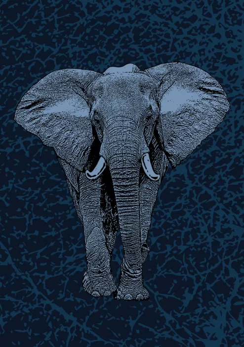Kaminski, Carlo: Majestic Elephant