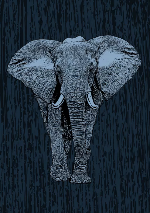 Kaminski, Carlo: Majestic Elephant