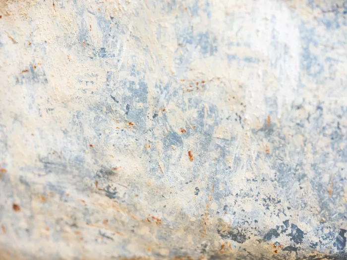 Zwart, Raisa: Blue and Beige II