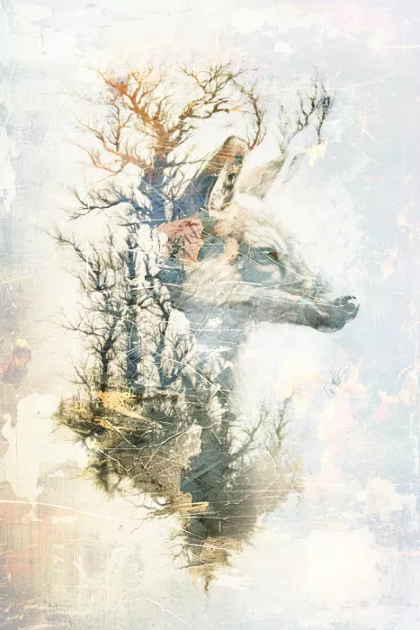 Kulik, Rafal: Illustration artistique 17