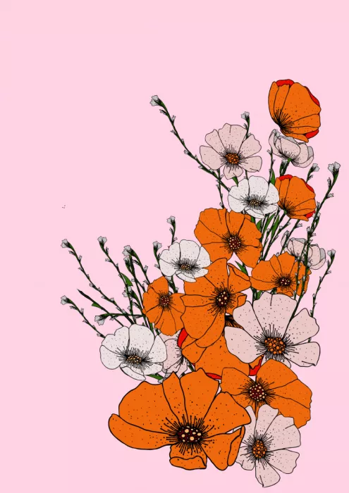 Nicholas: Petali su rosa
