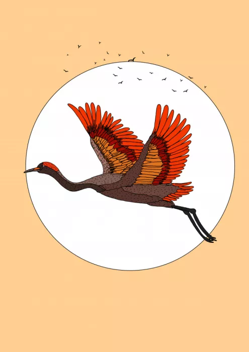 Nicholas: Vuelo de la Soledad
