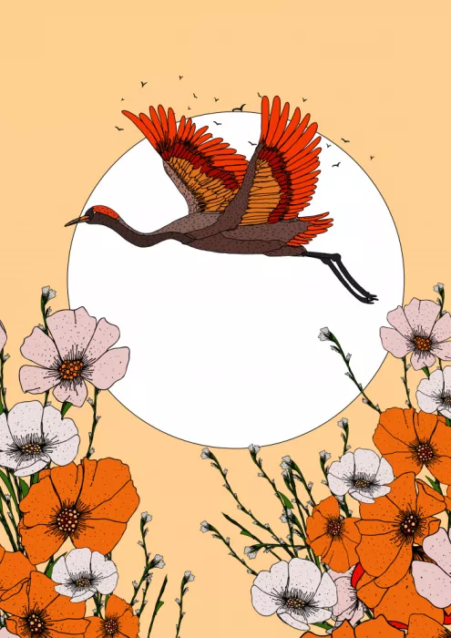Nicholas: Grulla en flor
