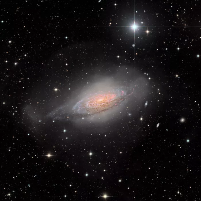 Chander, Vikas: Die Blasen-Galaxie