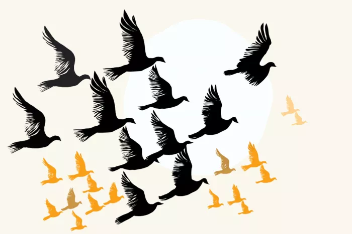 cartissi: El Vuelo de la Libertad