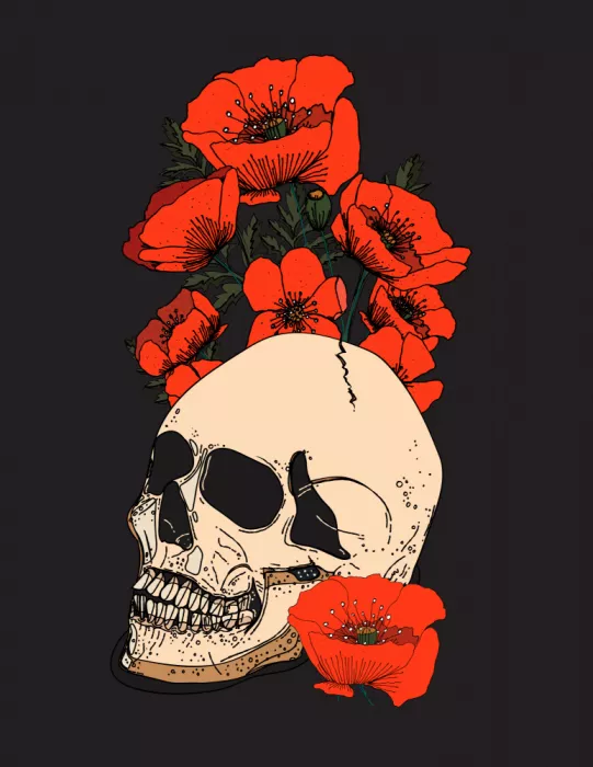 Nicholas: Teschio e fiori di papavero
