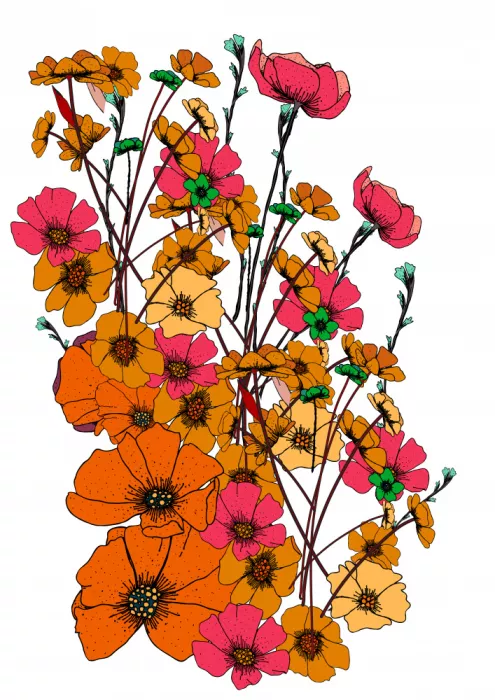 Nicholas: Fiori