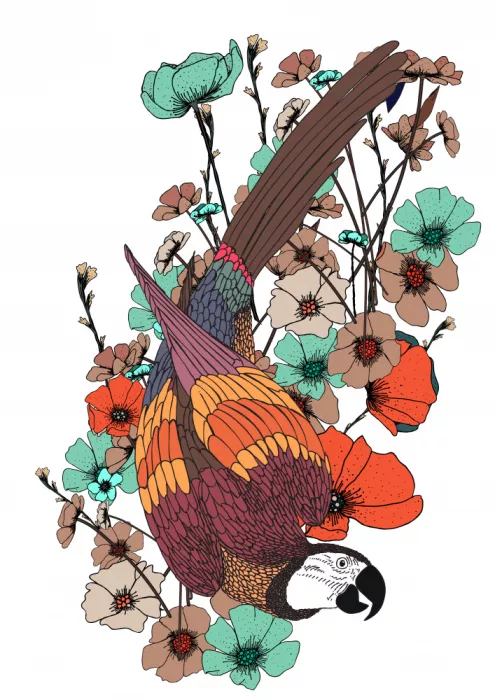 Nicholas: Pappagallo e fiori