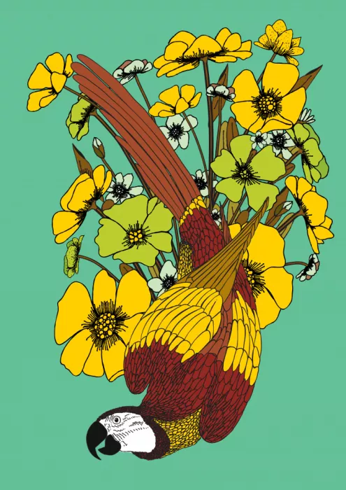 Nicholas: Pappagallo e fiori