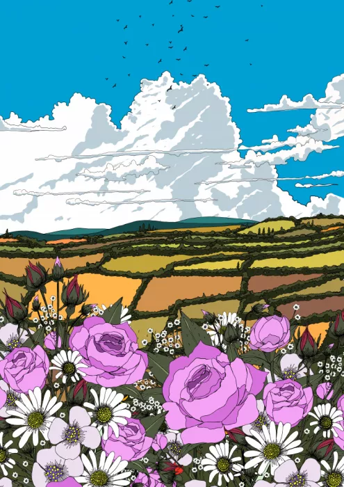 Nicholas: Valle de amapolas