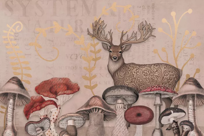 Haase, Andrea: Foresta fantastica II