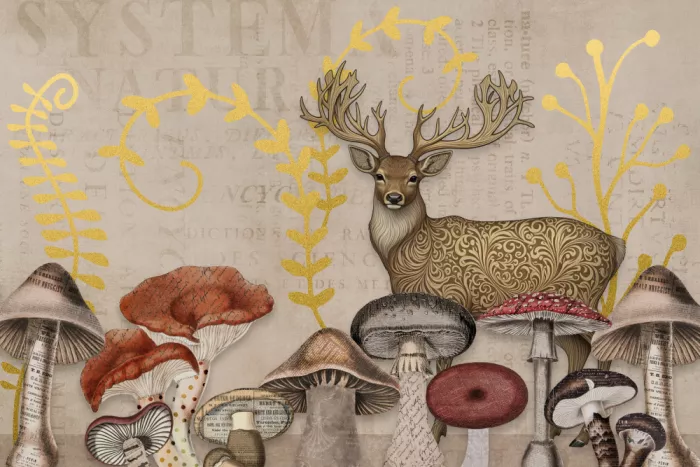 Haase, Andrea: Foresta fantastica III
