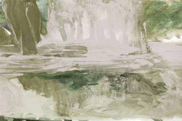 cartissi: Reflejo Forestal
