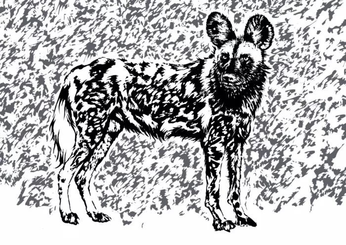Kaminski, Carlo: Perro salvaje en escala de grises