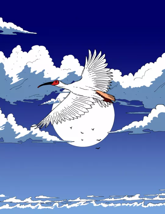 Nicholas: Grulla blanca