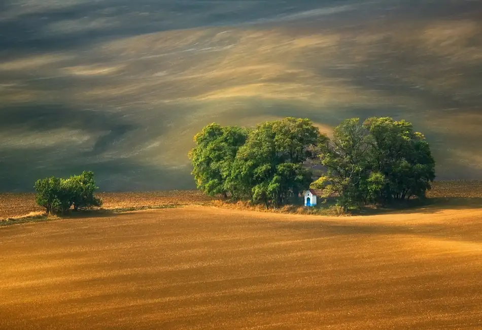 Browko, Krzysztof: Campi...