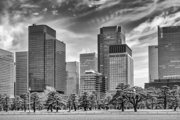 Viola, Melanie: Ginza Skyline Tokyo | Monocromatico