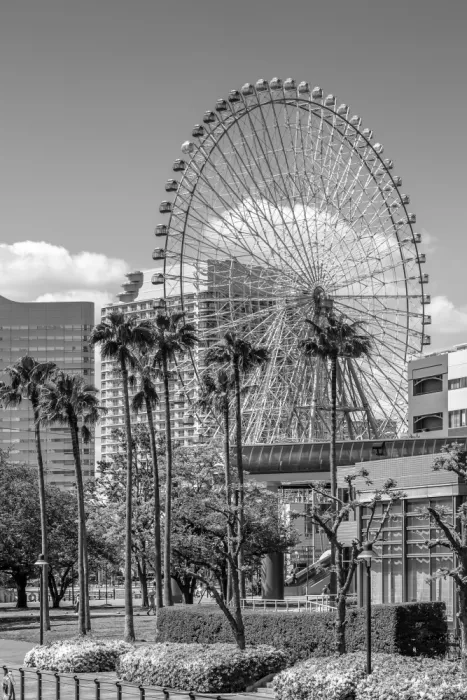 Viola, Melanie: Ruota panoramica e skyline di Yokohama | monocromatico