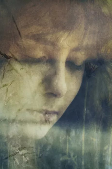Ignatova, Desislava: lonely summer grasses