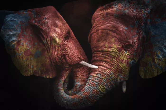 Kazamil, Farid: Colores