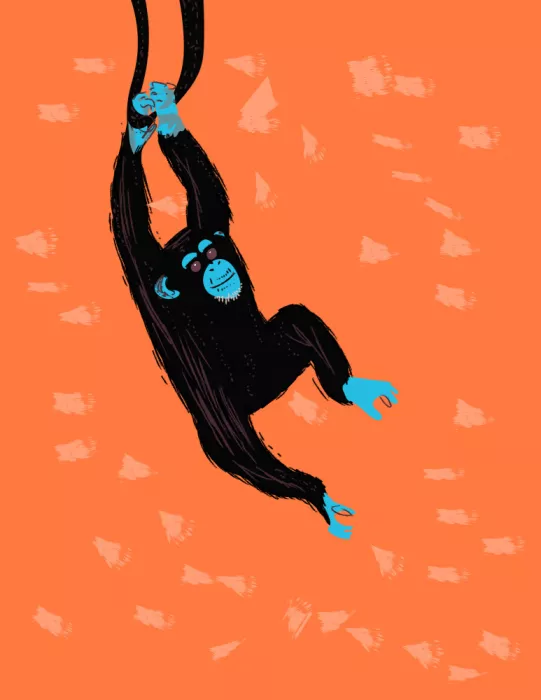 Nicholas: Chimpanzee Hanging