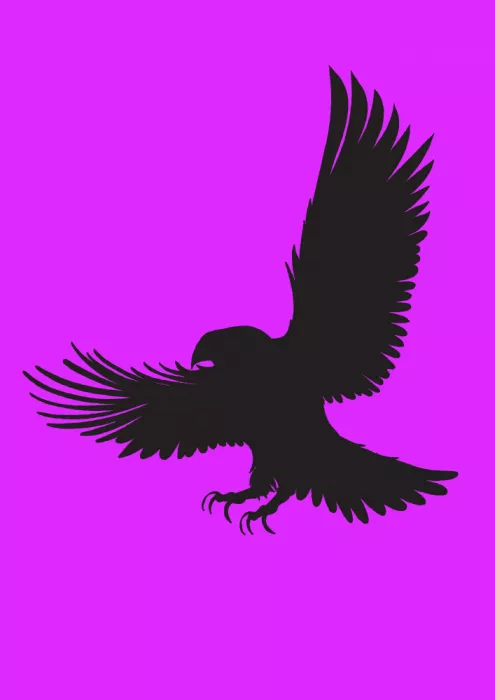 Nicholas: Cuervo en vuelo