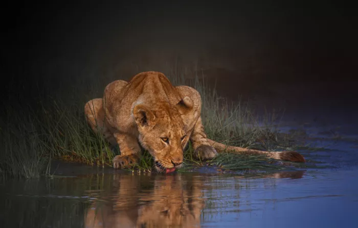 Joanaduenas: Drinking 7R53040
