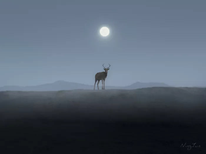Ye, NingYun: Sin título