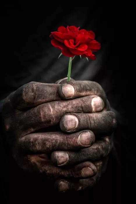 Calin, Silvia Rucsandra: Thank you