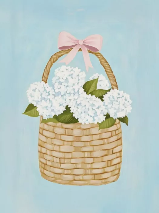 Pienaar, Kathrin: Hydrangeas in Basket
