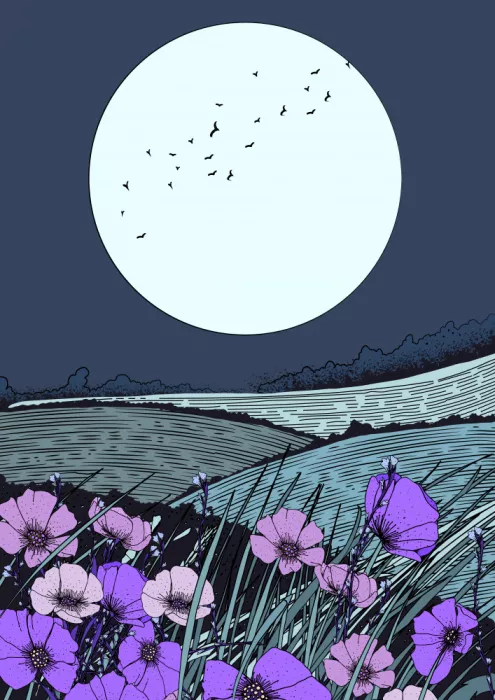 Nicholas: Prato di fiori selvatici di notte