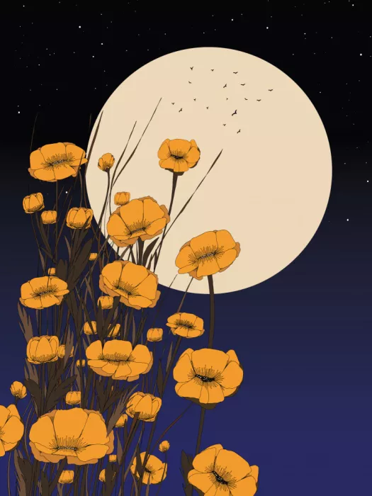 Nicholas: Salida de la luna