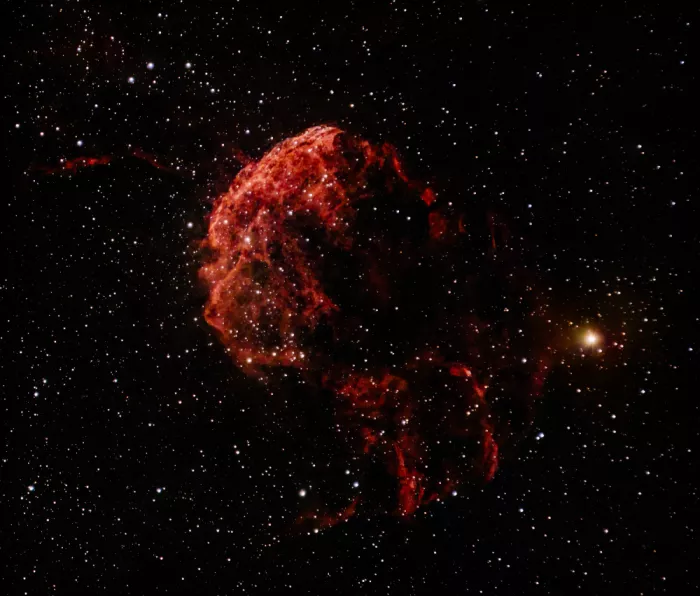 Li, Alex: Jellyfish Nebula