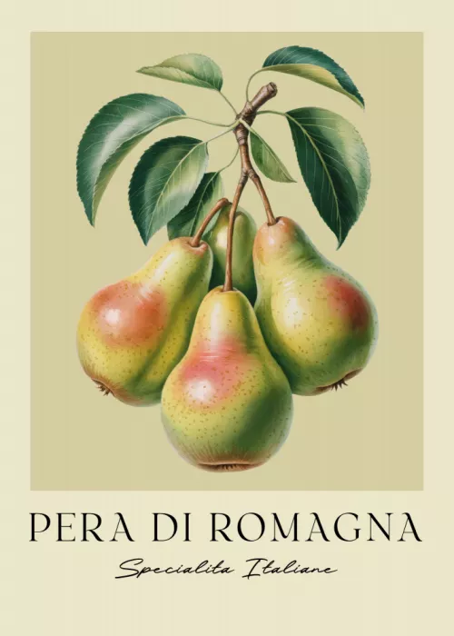 Magnusson, Andreas: Pera Di Romagna