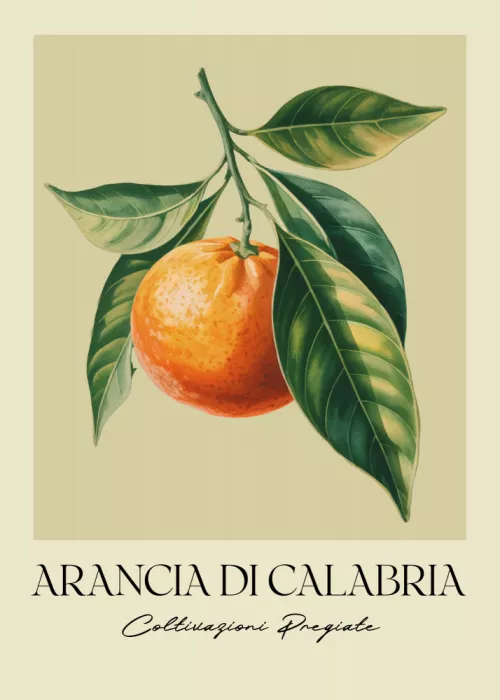 Magnusson, Andreas: Arancia Di Calabria