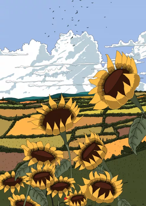 Nicholas: Veduta di girasoli