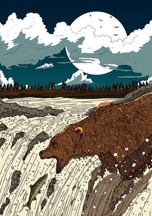 Nicholas: Orso nel fiume