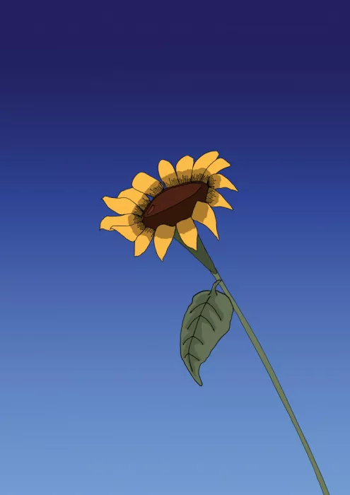 Nicholas: Girasole nel cielo