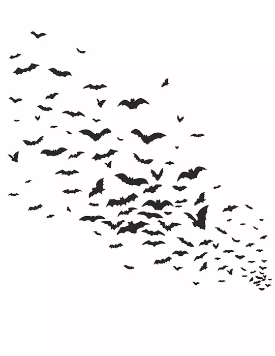 Nicholas: Pipistrelli in volo