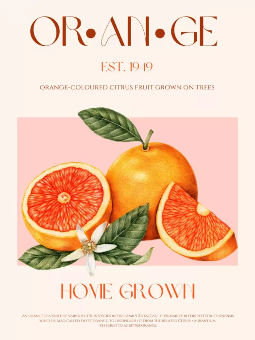 Khokhar, Nazma: Vintage-Thematik mit leuchtenden Orangetönen