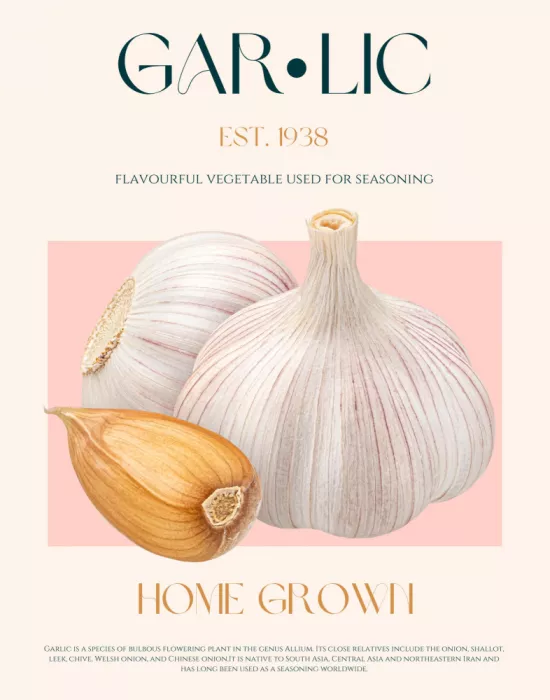 Khokhar, Nazma: Knoblauch-Essenz