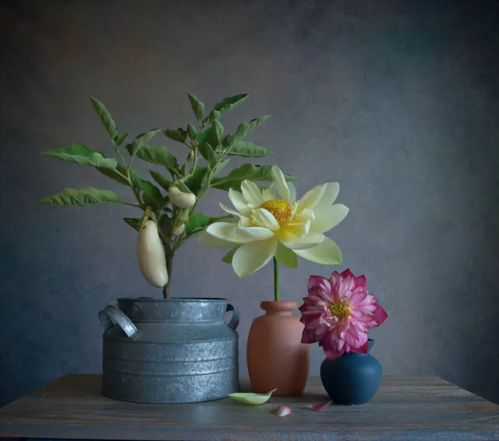 Zhou, Fangping: Potted Eggplant and Lotuses