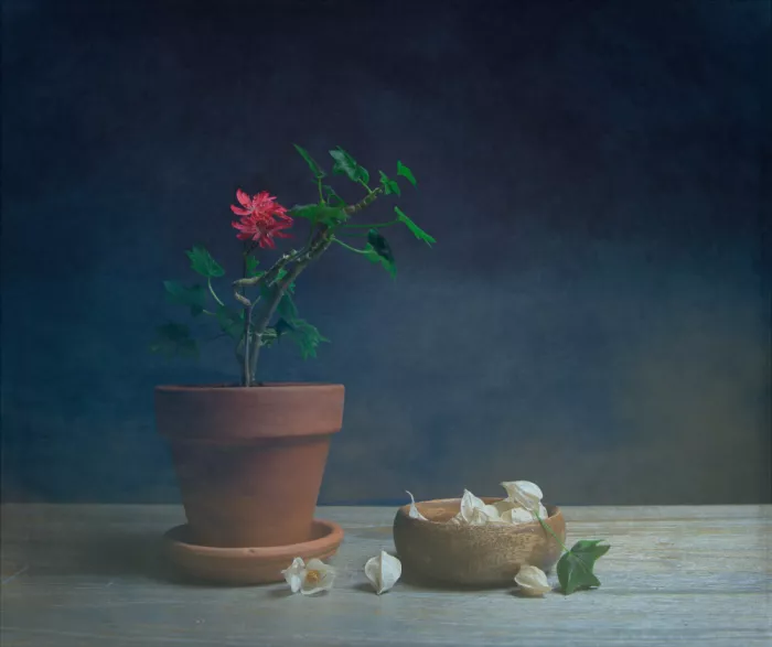 Zhou, Fangping: Geranio y Physalis