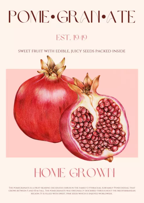 Khokhar, Nazma: Saftige Granatapfel