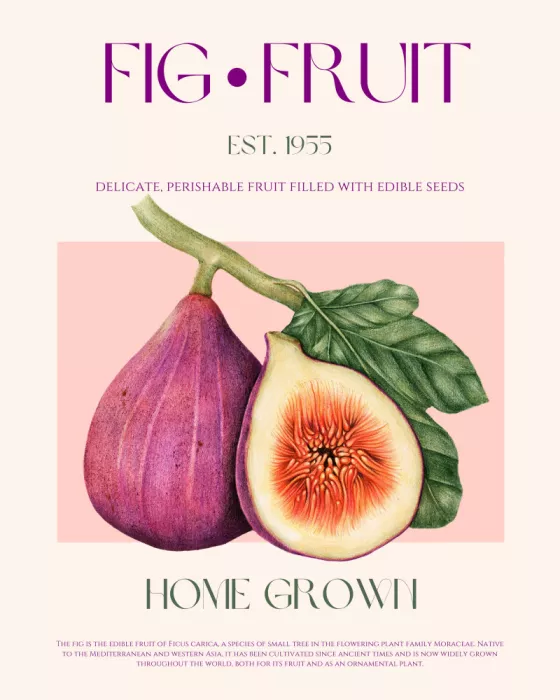 Khokhar, Nazma: Vintage Fig Delight