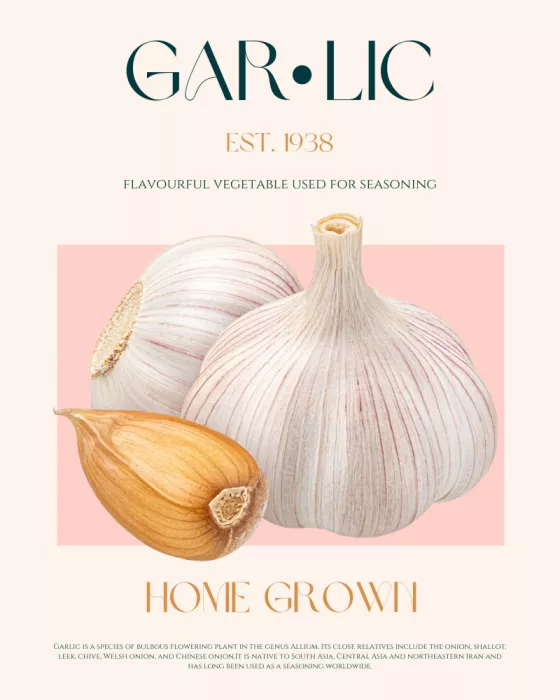 Khokhar, Nazma: Knoblauch-Essenz