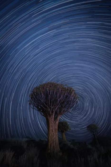 Mao, Yu: Star Trails