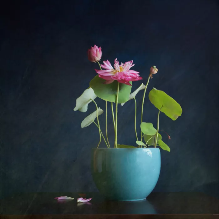 Zhou, Fangping: Quiet Bloom