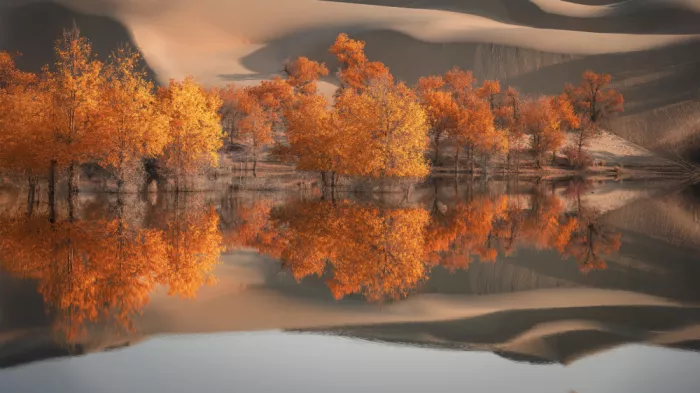 tianhuayu: Ombre de sable, vagues d